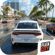 Flex City